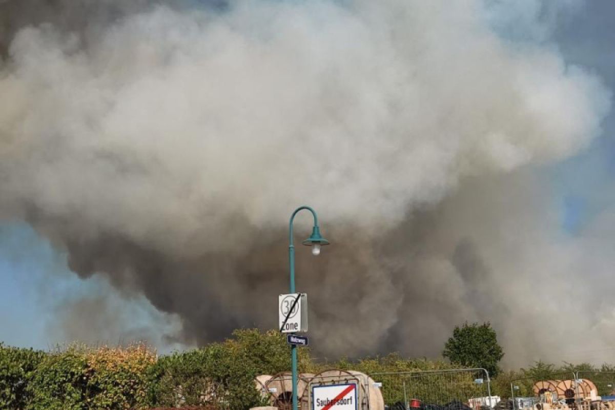 Brand im Föhrenwald: Großteil der Einsatzkräfte abgezogen