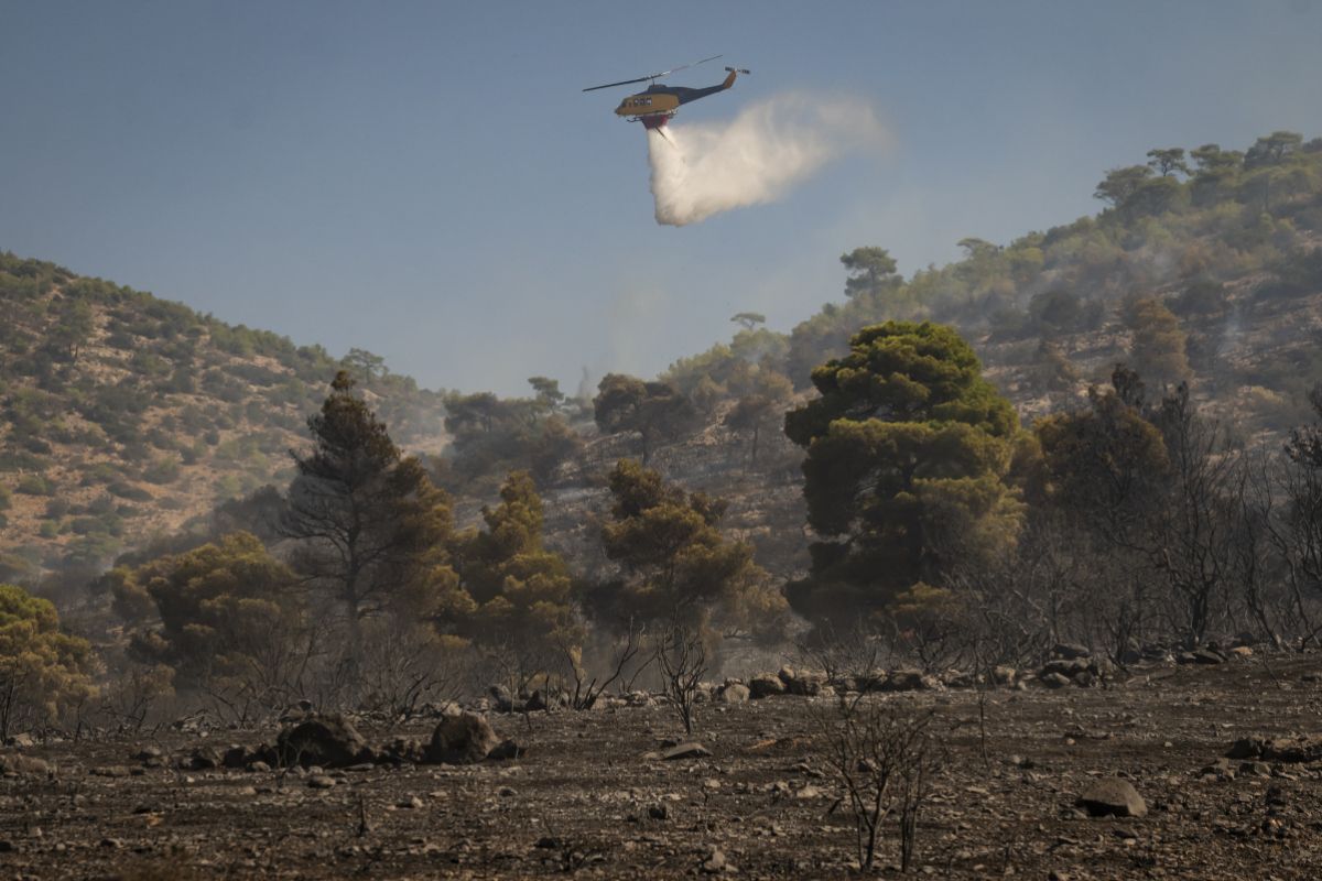 Erneut Waldbrand in der Nähe von Athen ausgebrochen