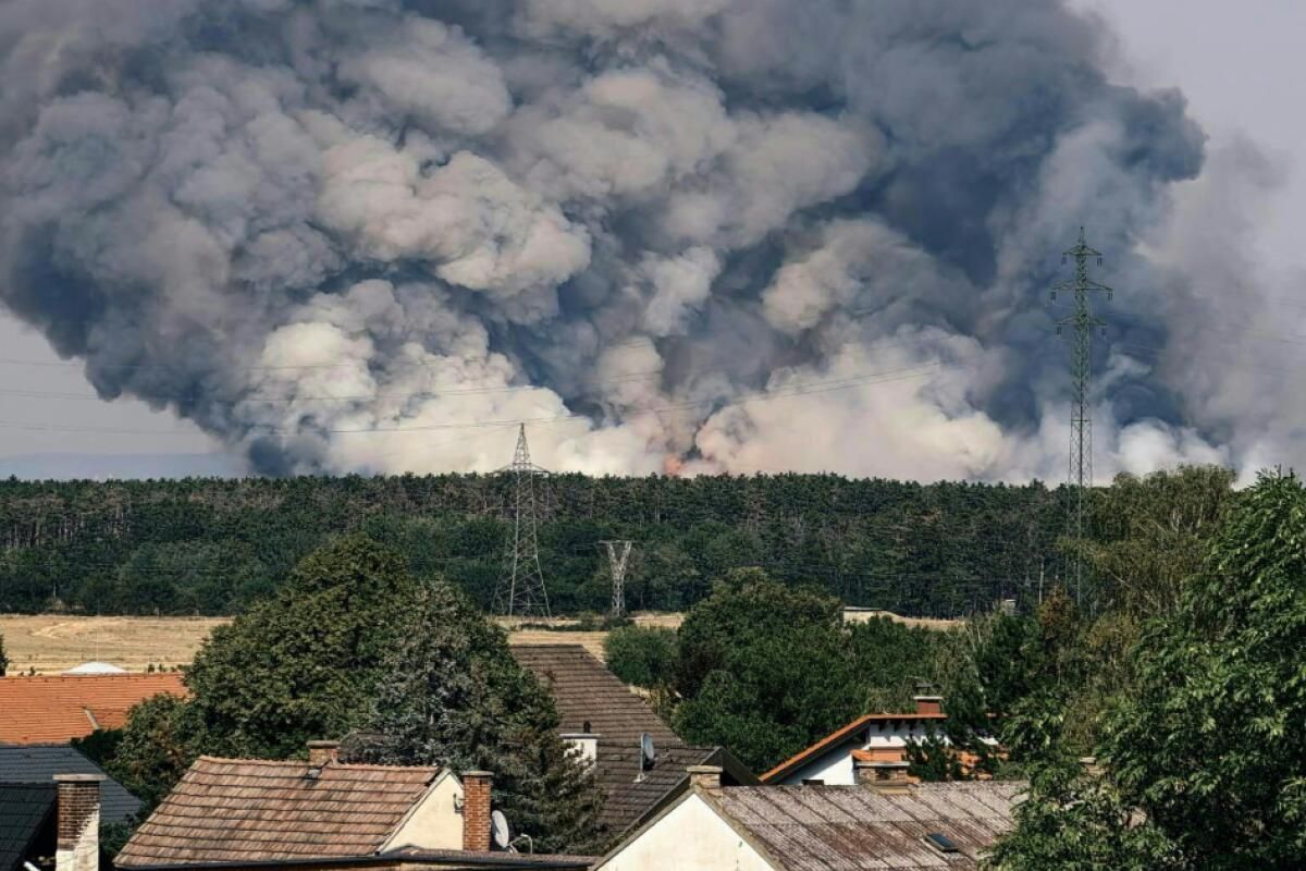 Forscher: "Waldbrände sind ein Ausdruck des Klimawandels"