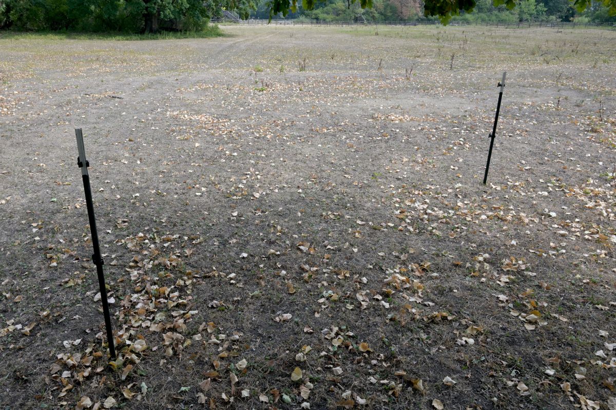 Dauer und Lückenlosigkeit machen Dürre "außergewöhnlich"