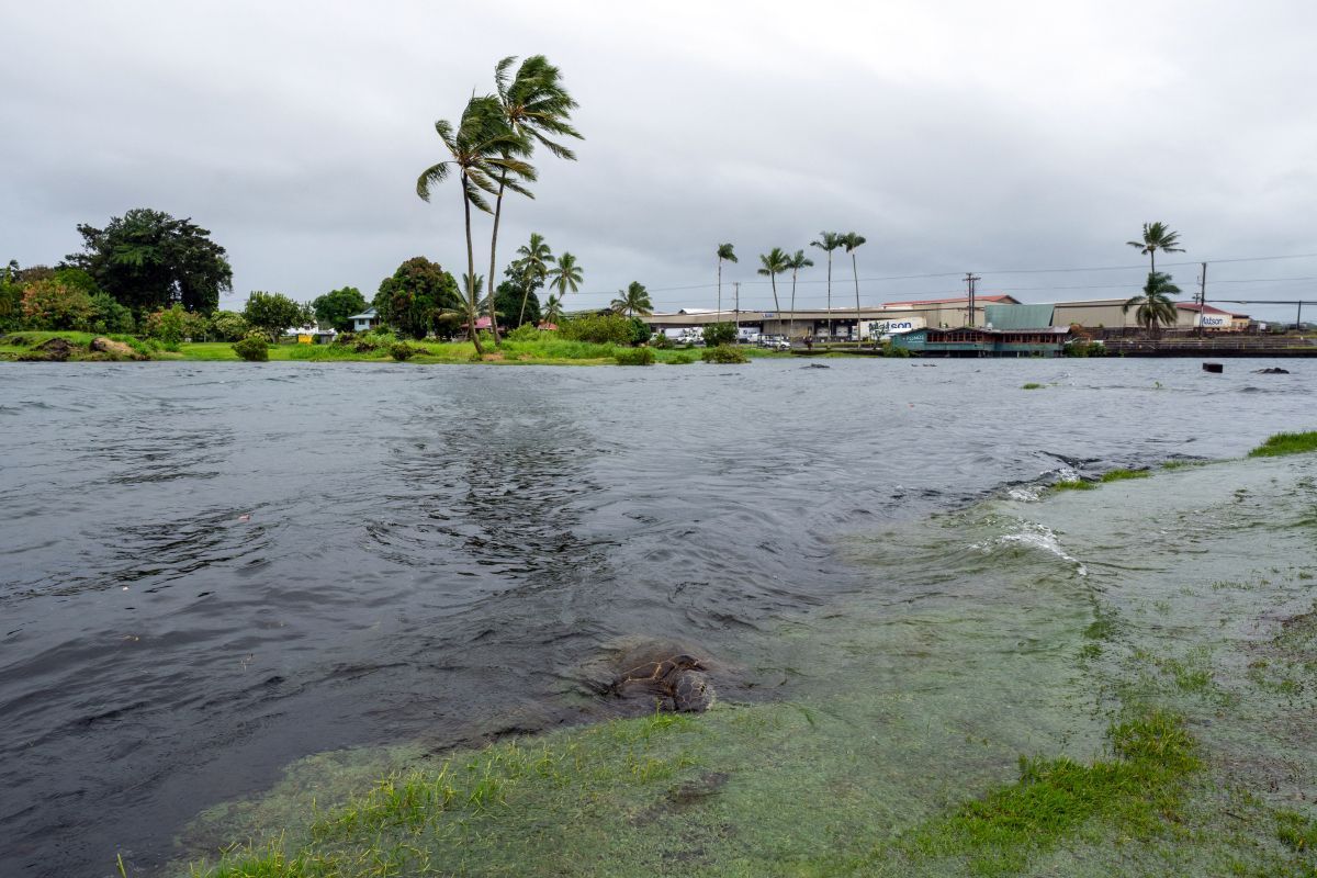 Hurrikan bringt Starkregen und Stromausfälle nach Hawaii