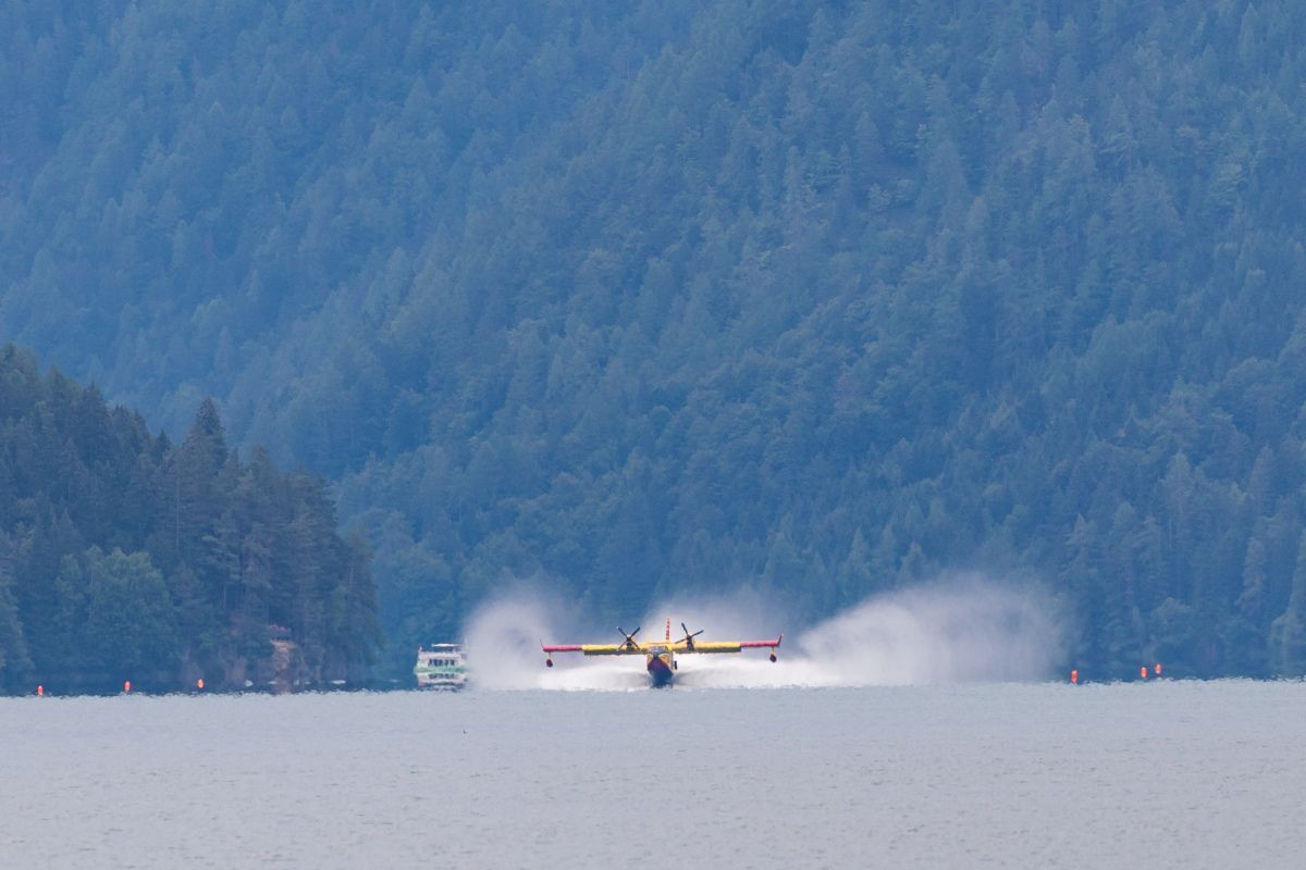 Starker Regen bremste Waldbrand in der Provinz Udine