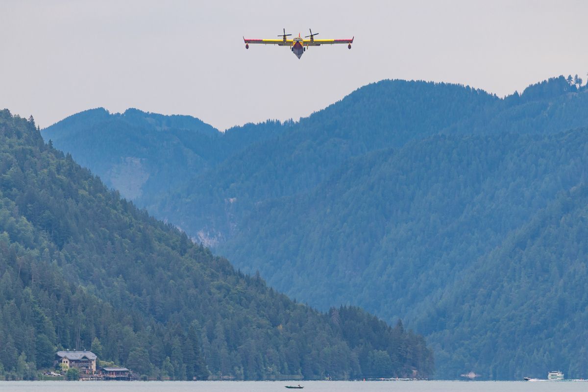 815 Hektar Wald in Friaul verbrannt