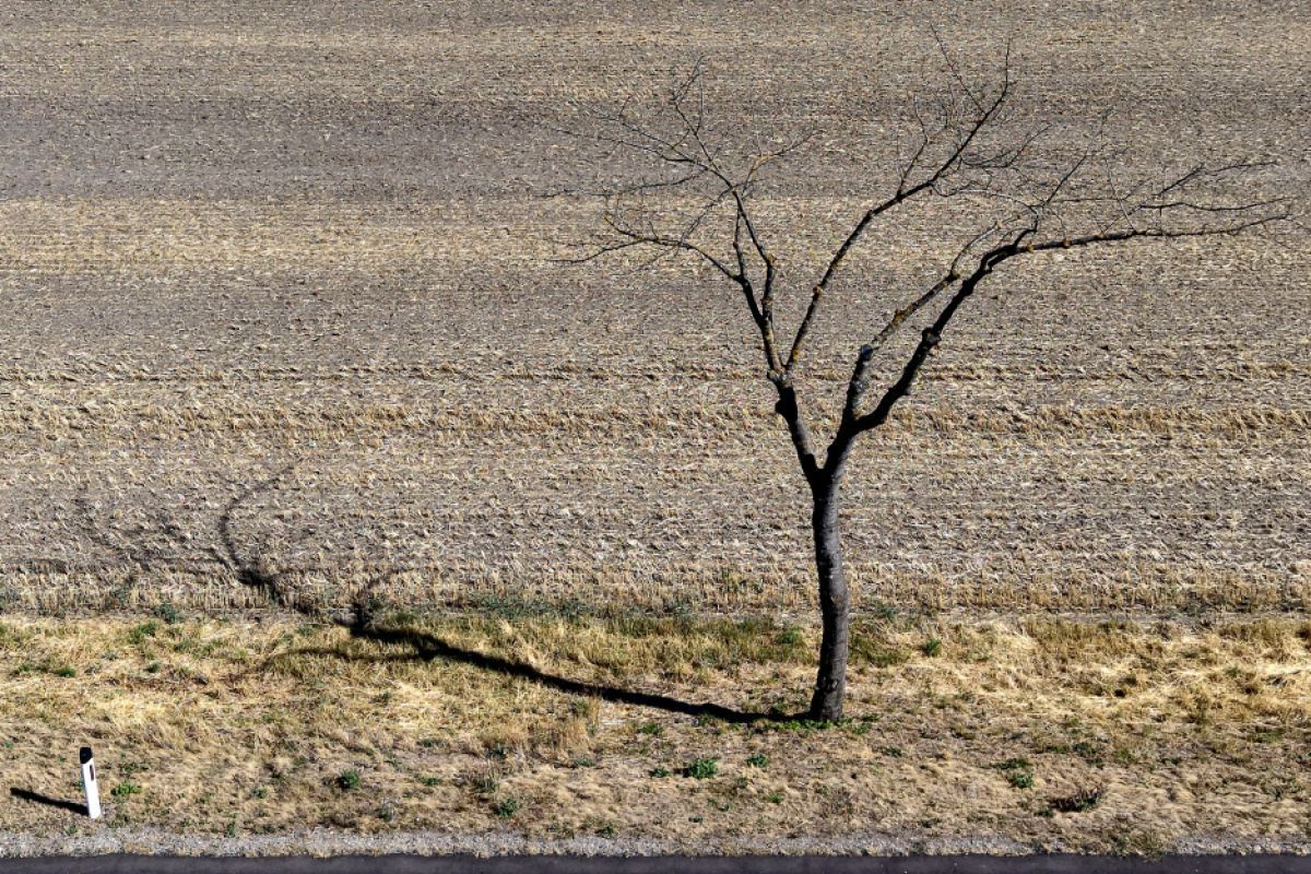 Klimaforscher: Wetterextreme in Europa werden häufiger