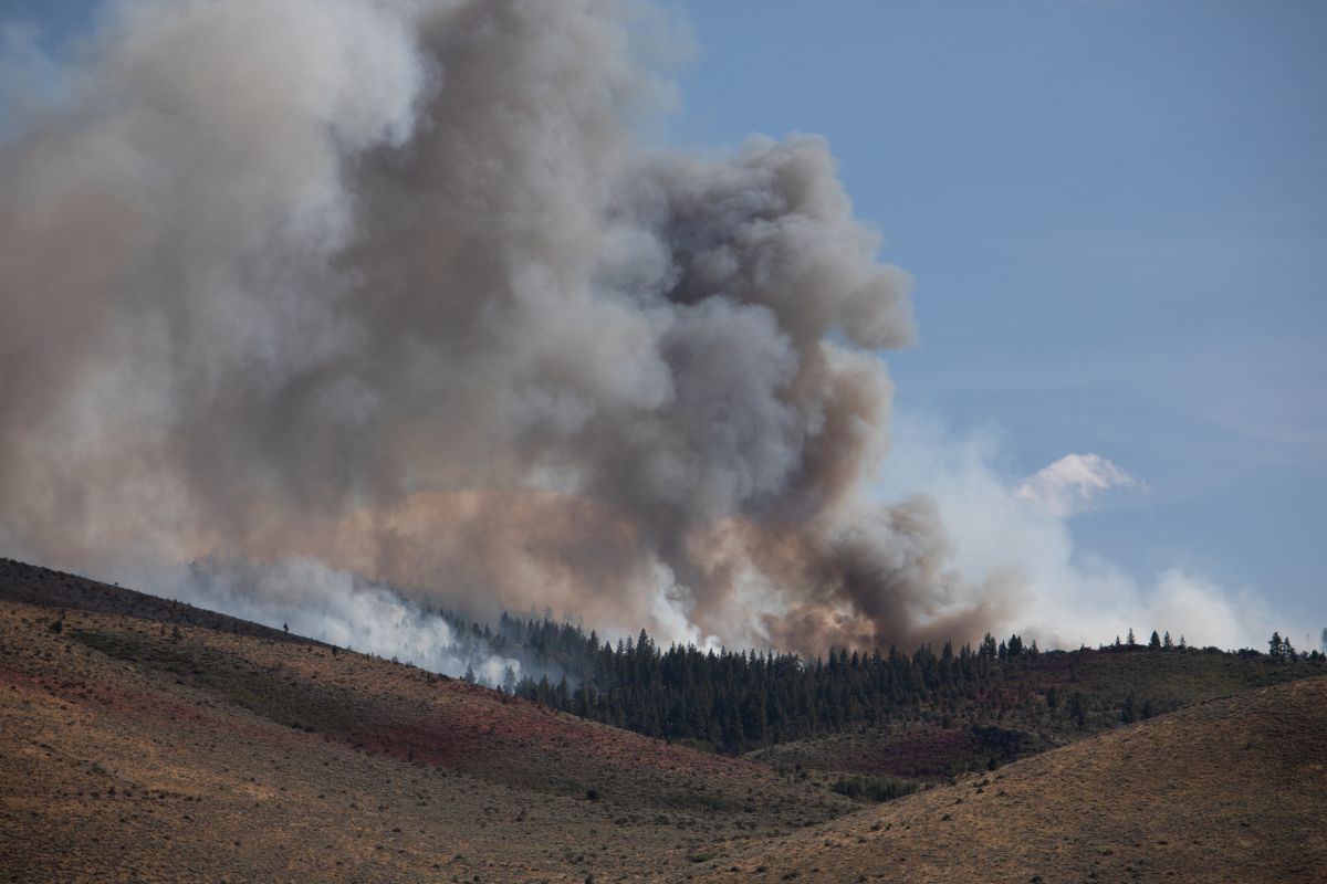 Waldbrände in Nevada: Zehntausende evakuiert