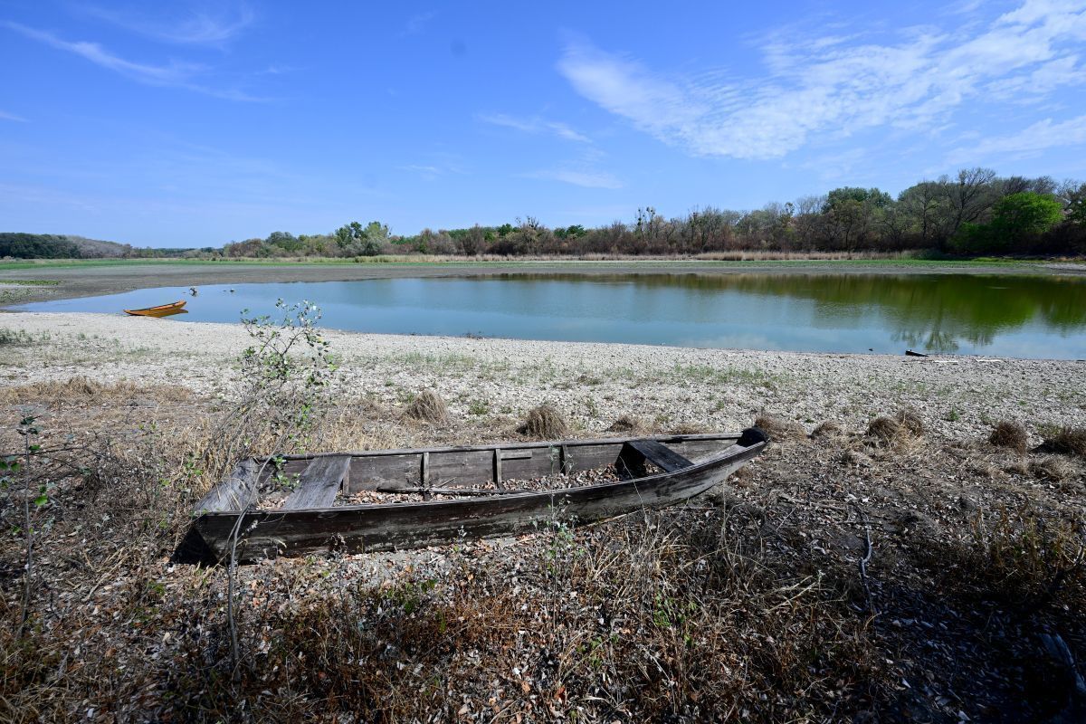 Dürre - Unterer Lobau geht es laut WWF extrem schlecht