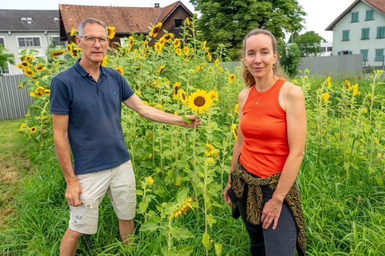 Global denken, in Vorarlberg handeln