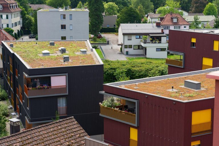 Zukunftsgrün: Vier Vorarlberger Gemeinden setzen auf mehr Grün