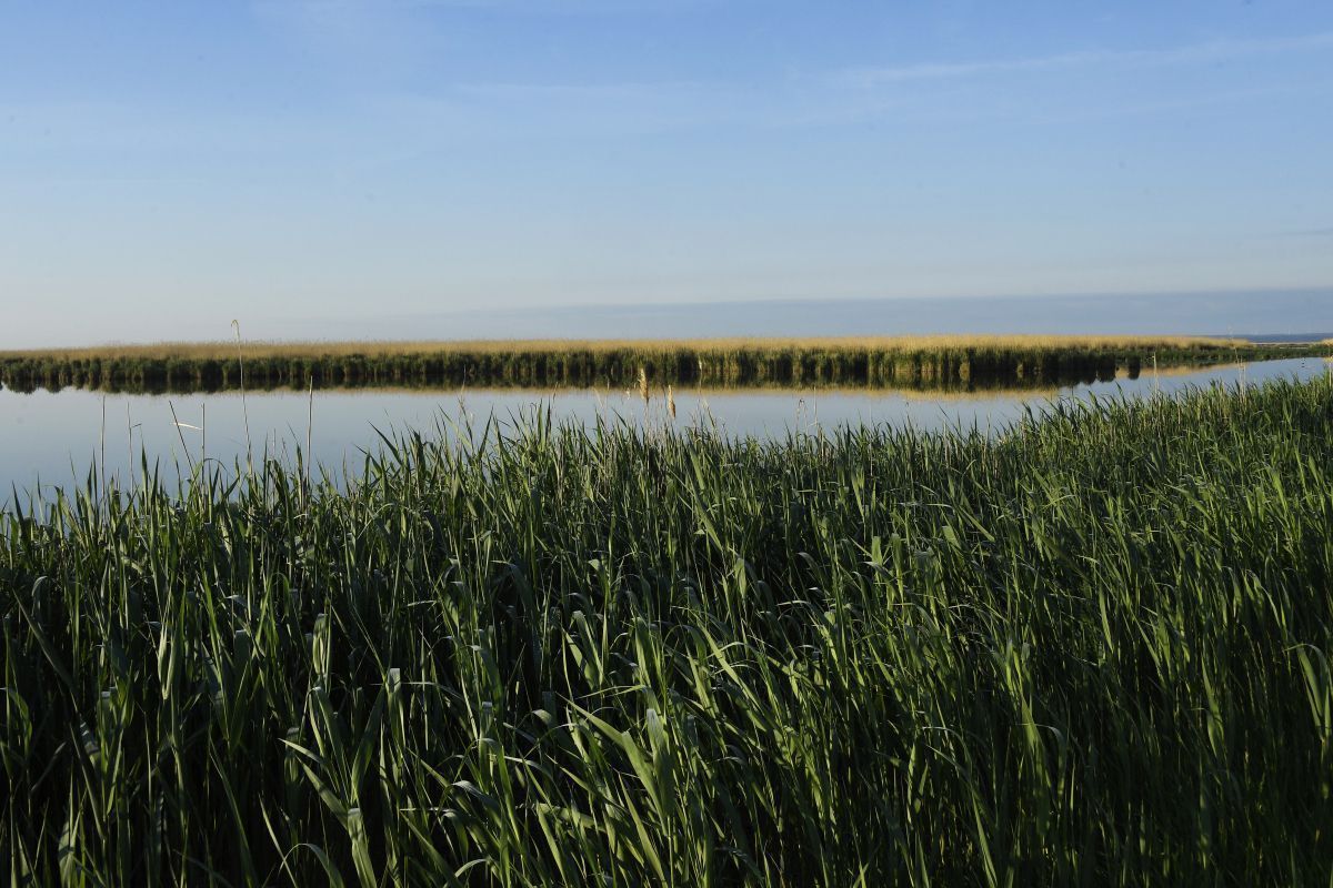 Der Neusiedler See hat sehr wenig Wasser