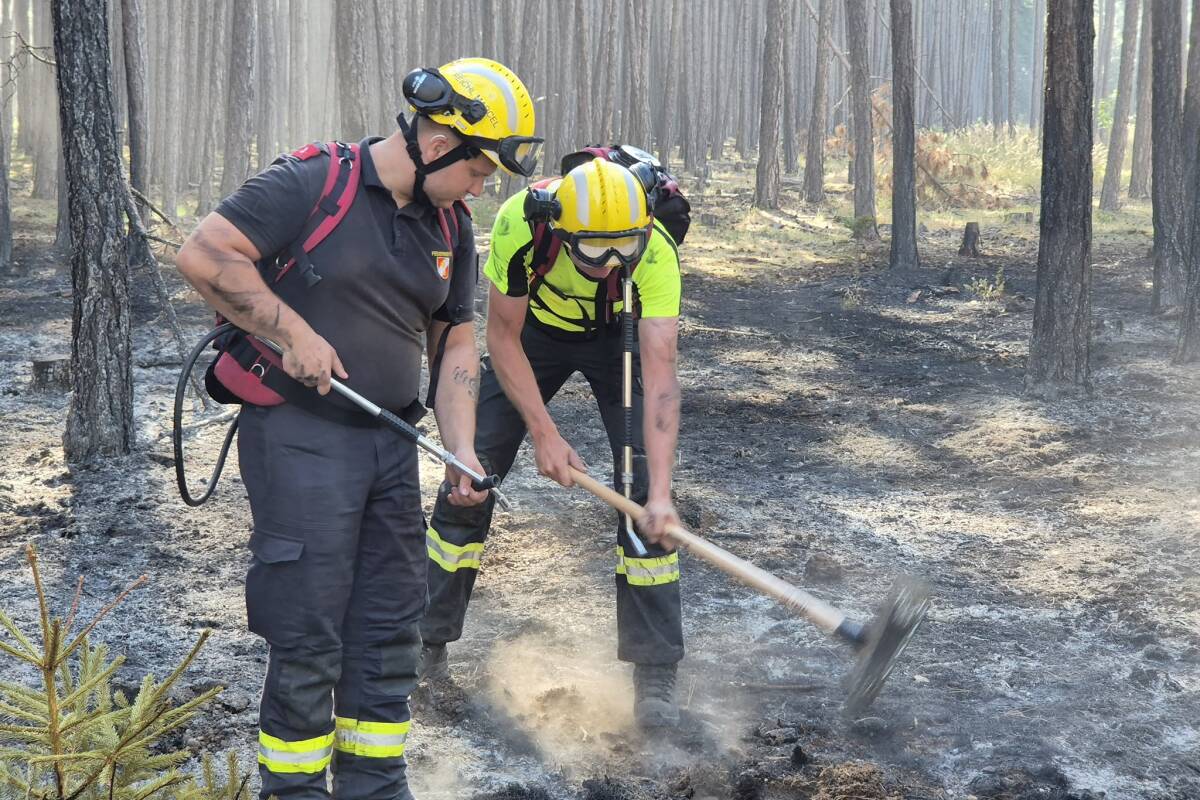 Reste von Munition lösten wieder Waldbrand aus