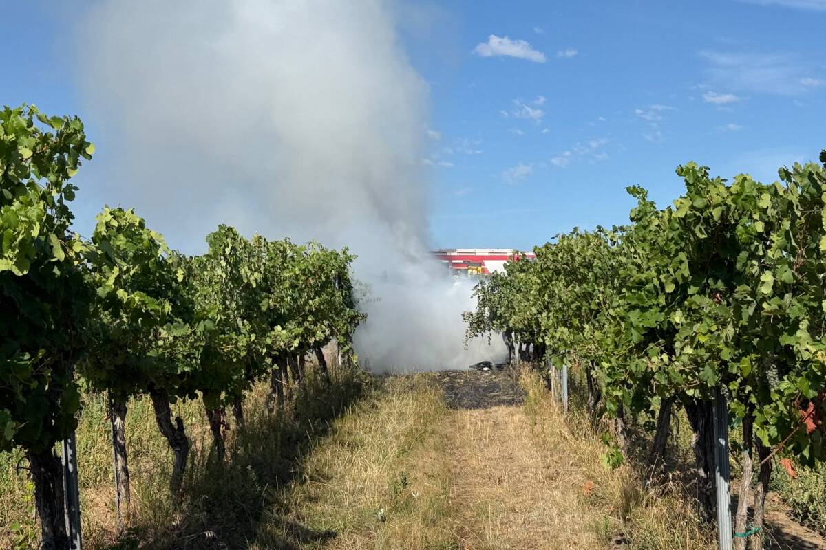 Piloten starben bei Absturz von 2 Kleinfliegern in Niederösterreich