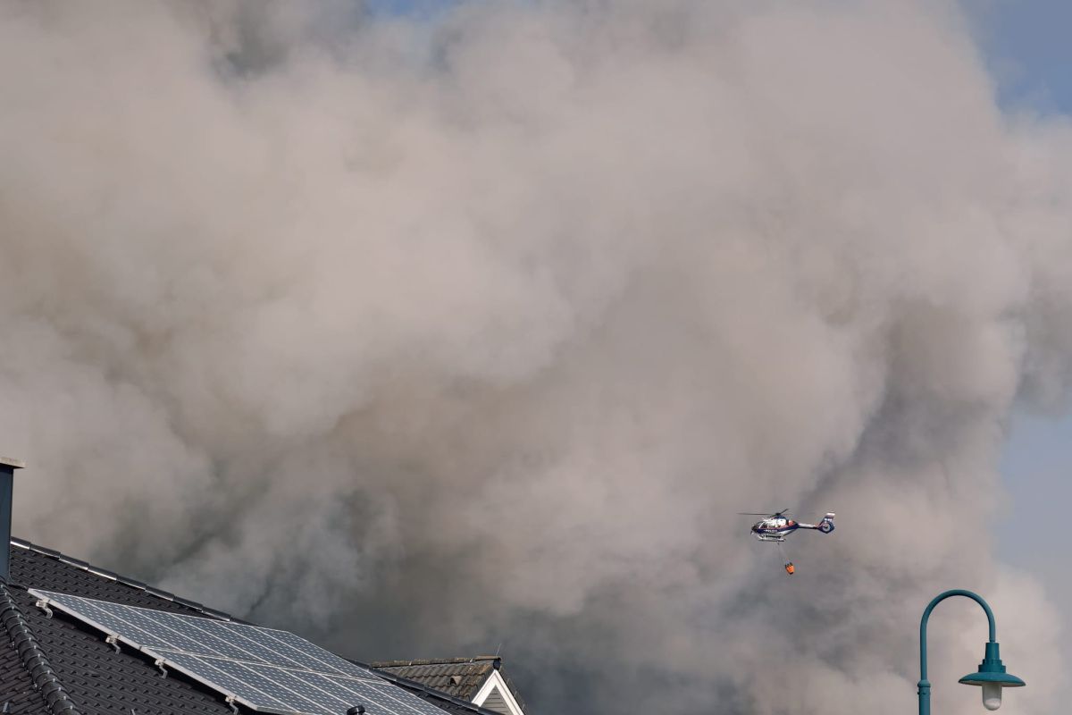 Siedlung in Niederösterreich wegen Waldbrand evakuiert