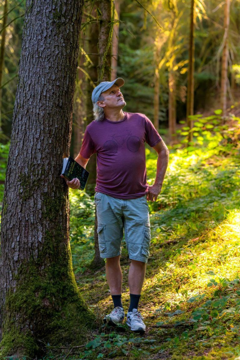 Was Vorarlbergs Wälder nach der Fichte stärker macht