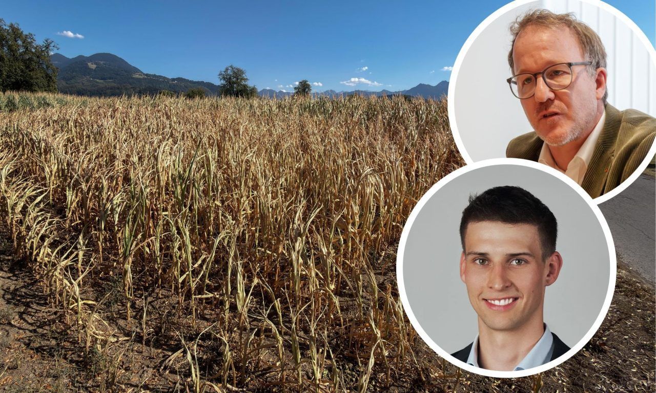 18 Millionen Euro Schaden: Wie hart die Dürre Vorarlbergs Bauern trifft