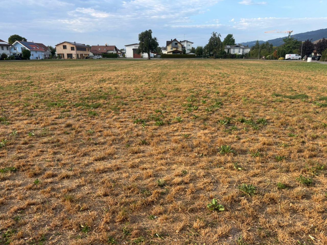 18 Millionen Euro Schaden: Wie hart die Dürre Vorarlbergs Bauern trifft