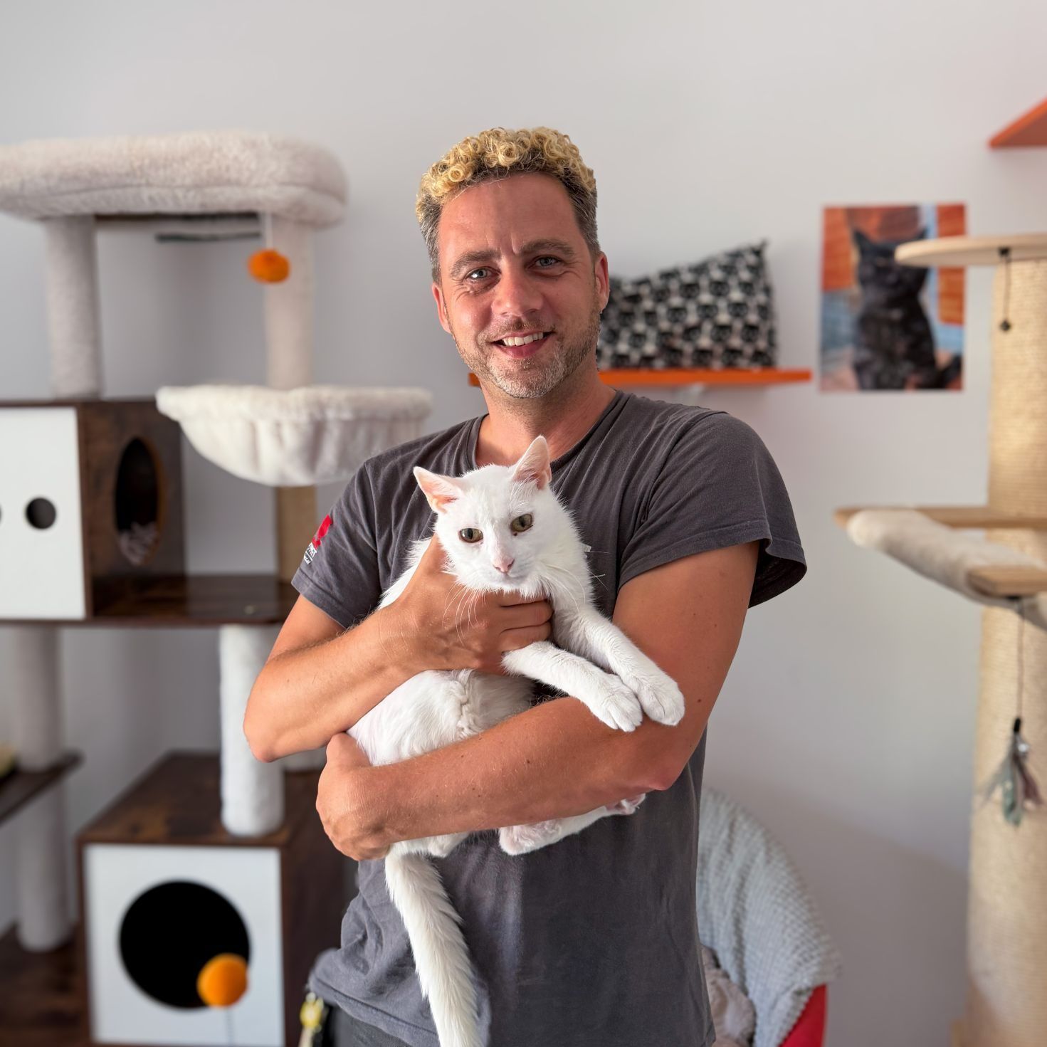 Knickohren und volle Gehege zum Weltkatzentag im Tierschutzheim Dornbirn