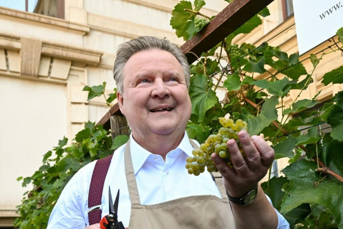 Gute Weinqualität trotz Ertragseinbußen in Wien