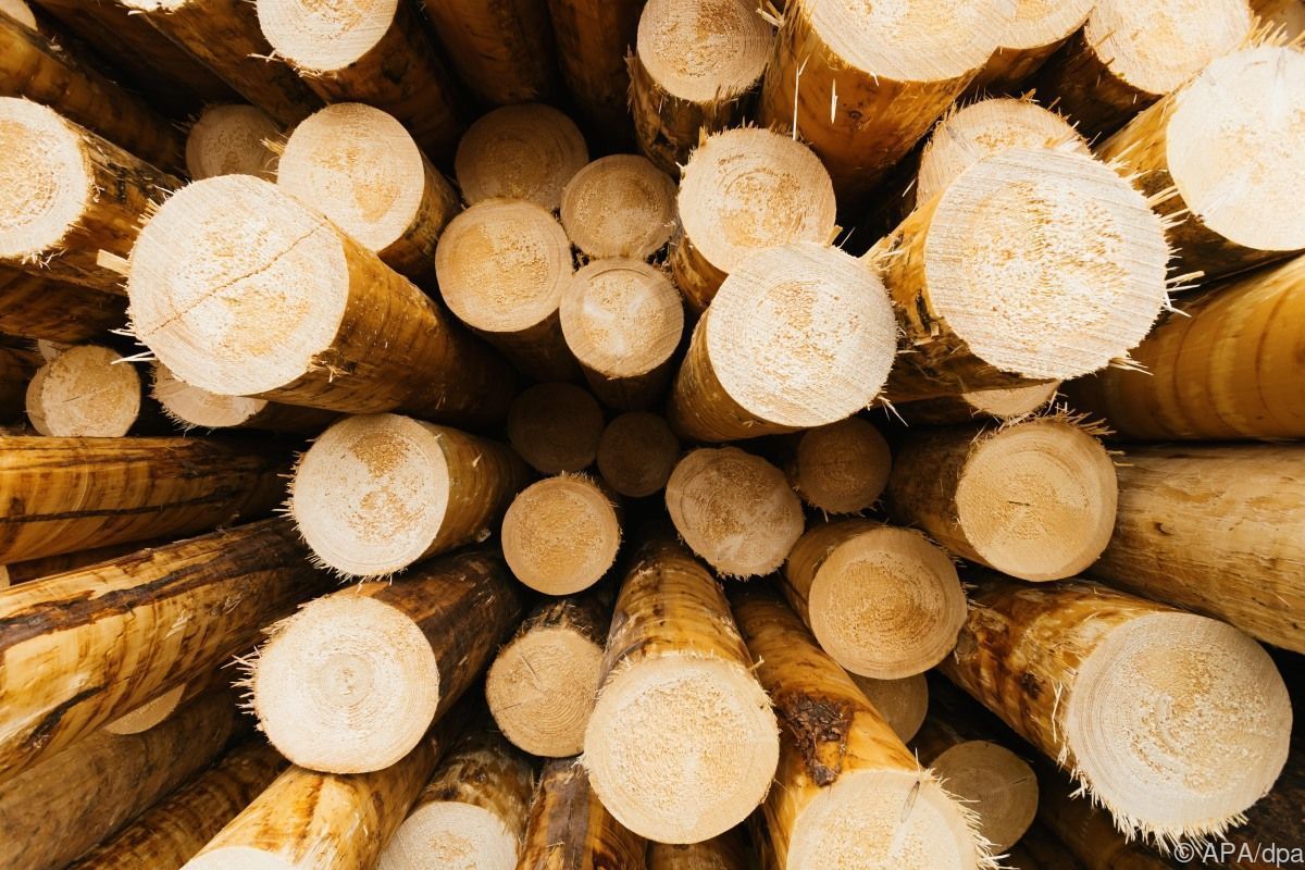 Sägeindustrie und Holzhandel besorgt um schwache Nachfrage