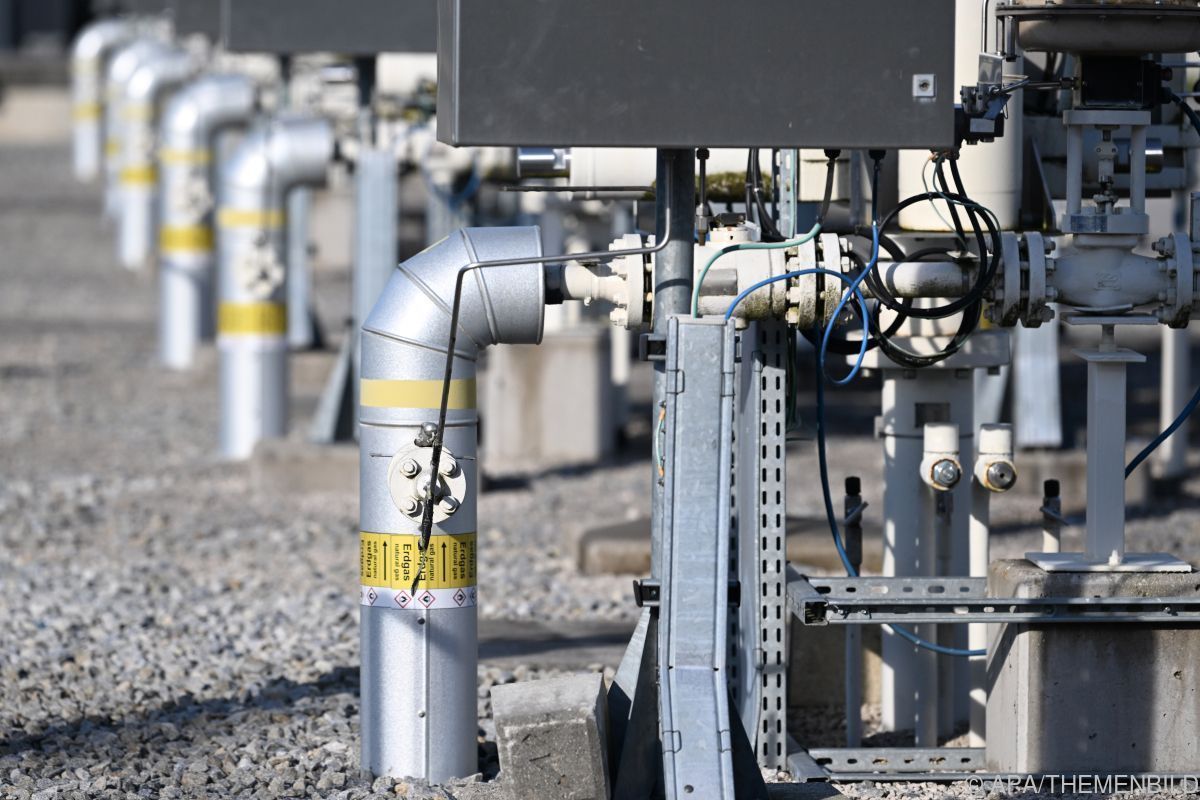 Gaspreisschocks wirken unterschiedlich in EU-Ländern