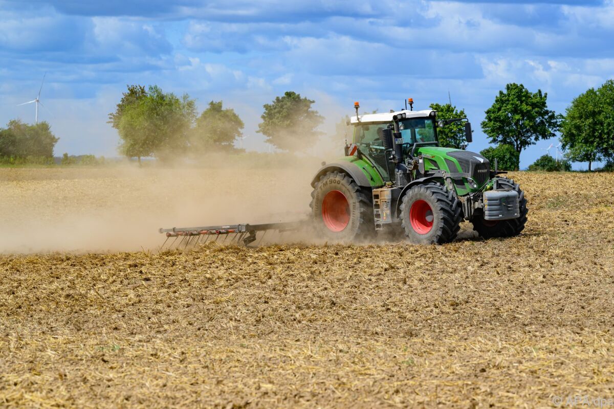 Kärntens Landwirtschaftskammer meldet sich mit Forderungen