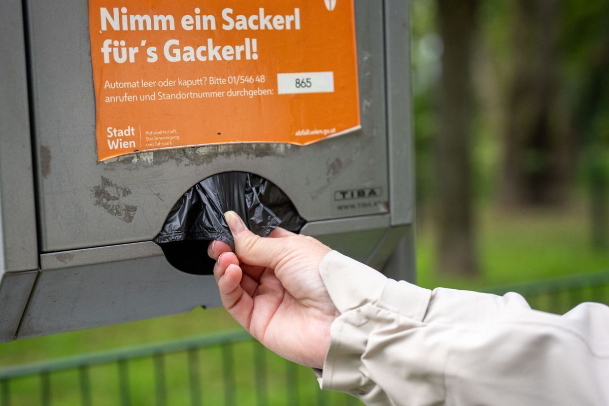 Österreichisches Deutsch laut Umfrage kein Auslaufmodell