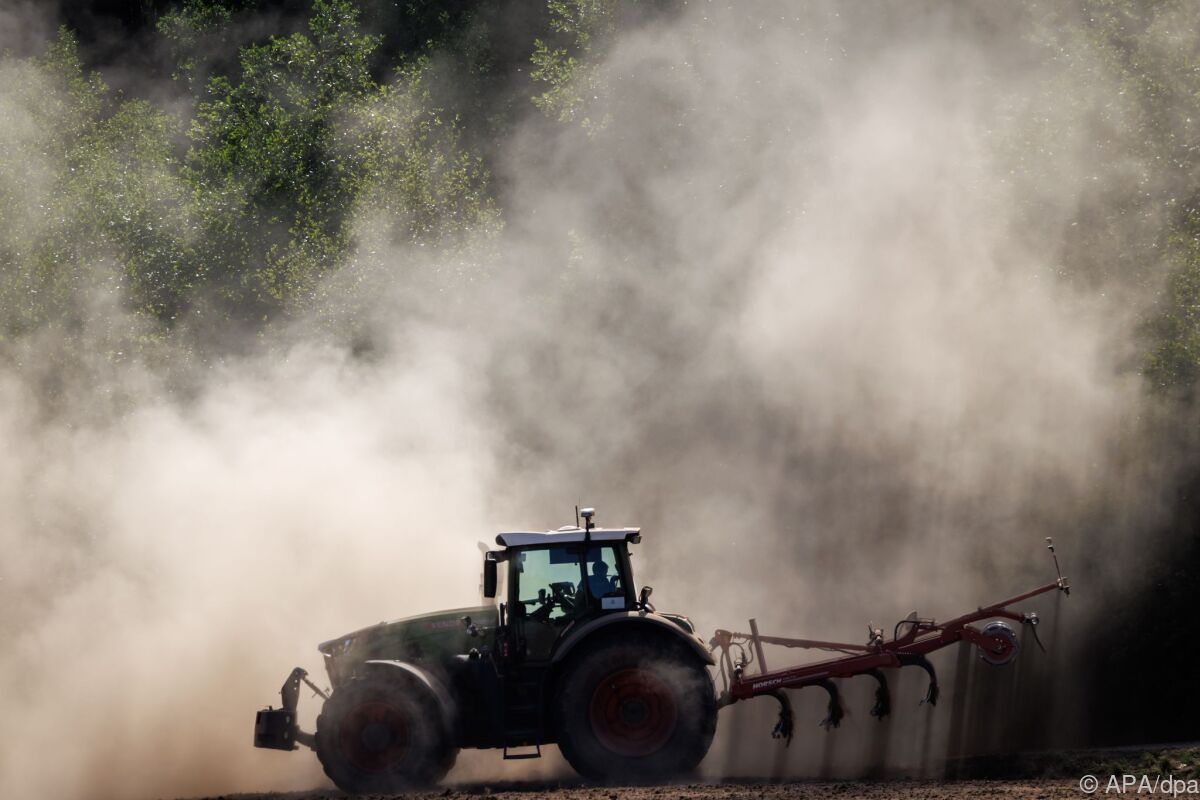 Hohe psychische Belastung bei österreichischen Landwirten