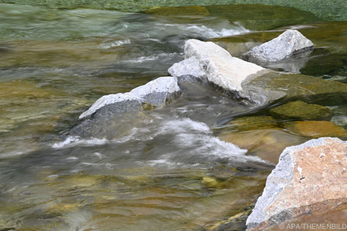 WWF - Tiroler Lech ist "Fluss des Jahres" 2026