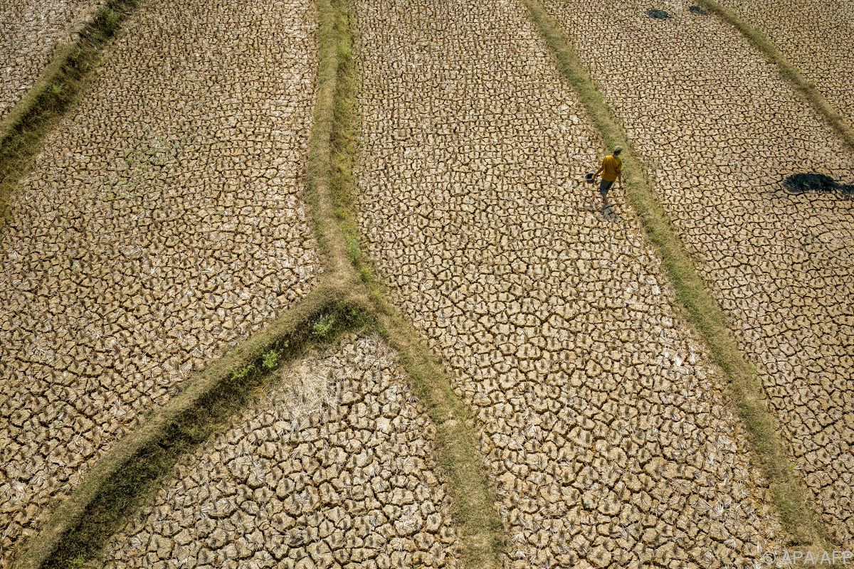 UNO: Wetterphänomen El Niño wird "sehr stark"