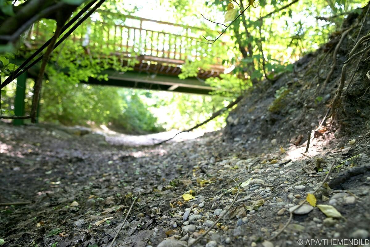 Warnung vor Artensterben in der Unteren Lobau