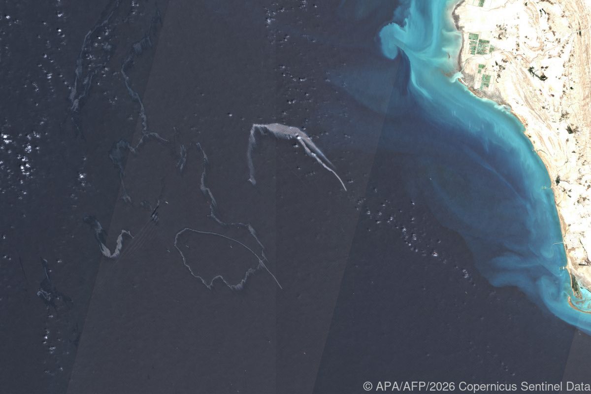 Greenpeace: Fünf Ölteppiche in der Straße von Hormuz