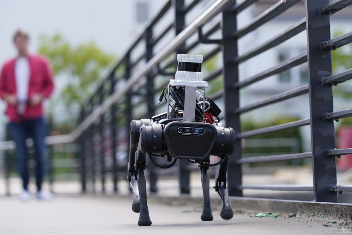 Körperwiegen schärft Blick - Robohund lernt neuen Trick