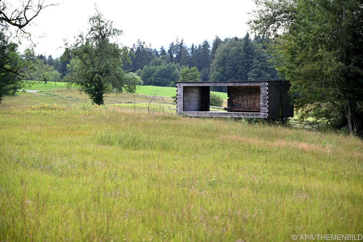 Waldforscher für Artenvielfalt-Förderung "auf allen Ebenen"