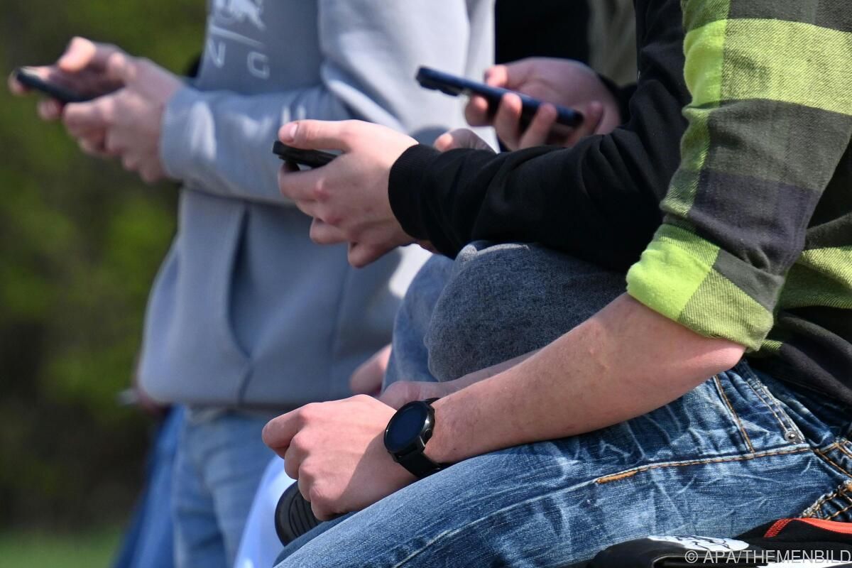Über 200 Stellungnahmen zu Social-Media-Verbot eingelangt