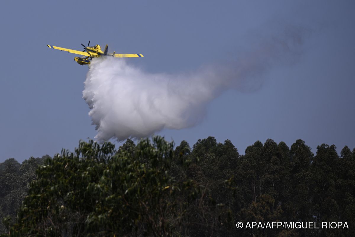 Feuerwehrfrau kommt bei Waldbrand in Portugal ums Leben