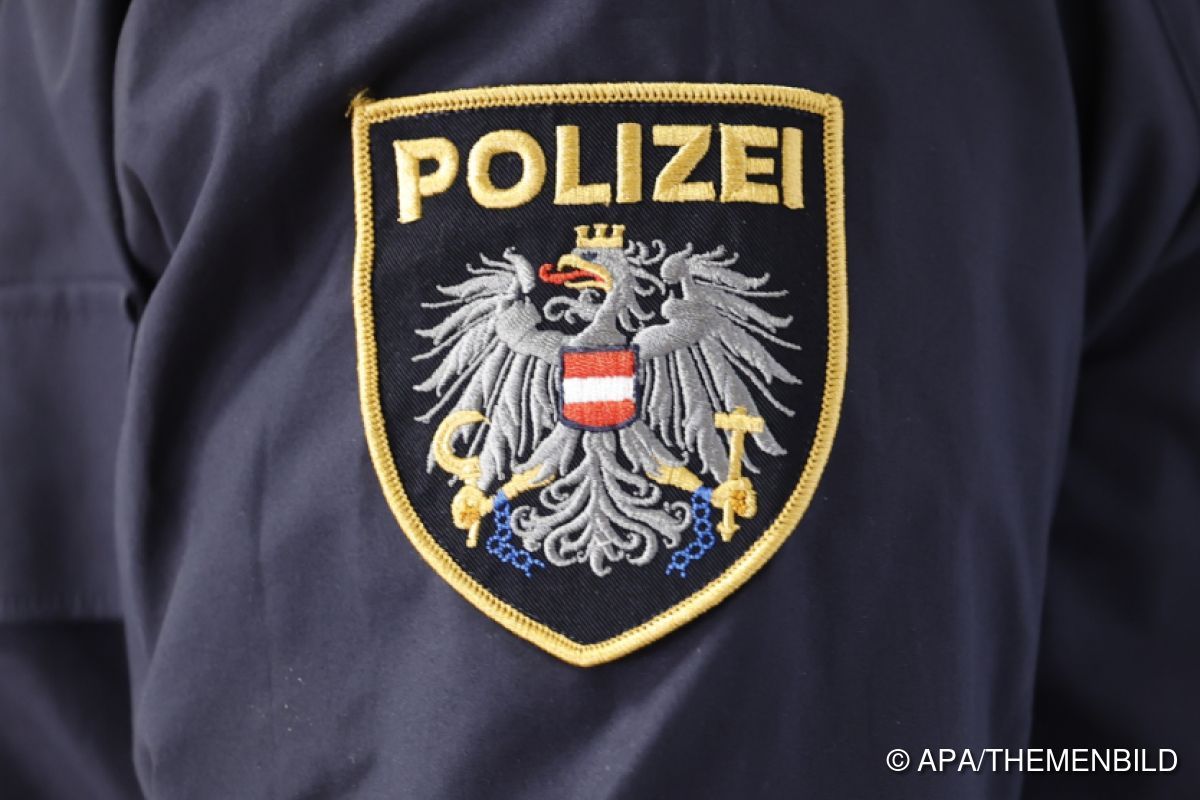 Mann in Wien randaliert in Wohnung im Beisein seiner Kinder