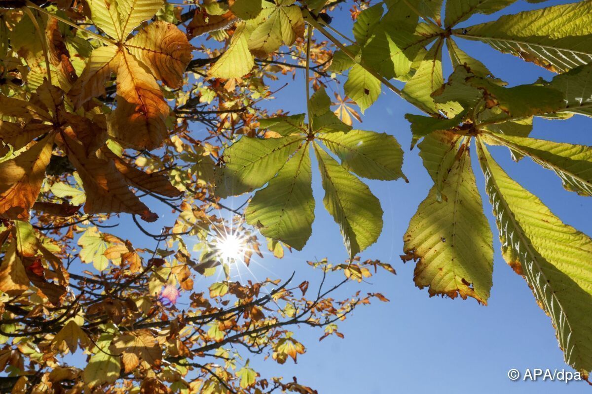September ungewöhnlich warm und sonnig