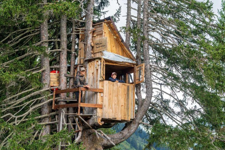 Damülser Jugendliche landen mit "Baumhaus der Träume" regionalen Instagram-Hit