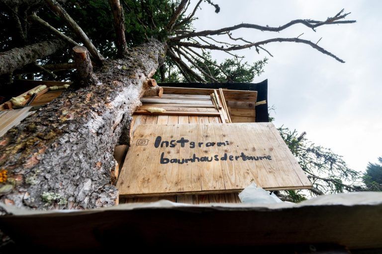 Damülser Jugendliche landen mit "Baumhaus der Träume" regionalen Instagram-Hit