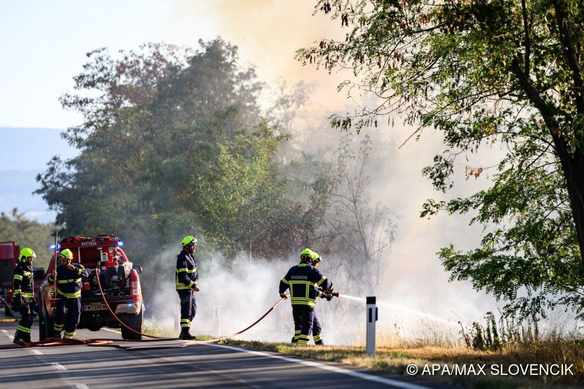 Feuerwehren fordern wegen Waldbränden mehr Budget