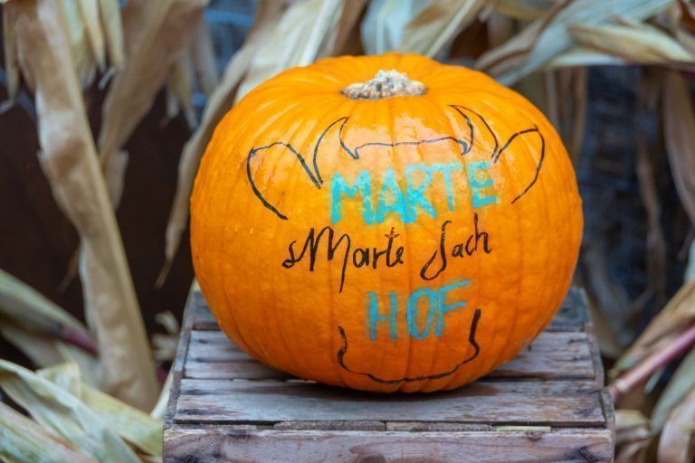 Kürbisschnitzen war gestern: Auf dem Martehof in Röthis wird an Halloween gemalt