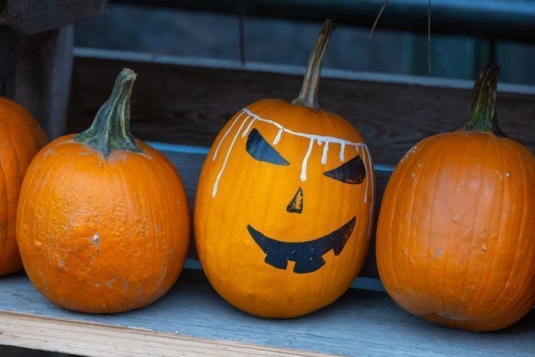 Kürbisschnitzen war gestern: Auf dem Martehof in Röthis wird an Halloween gemalt