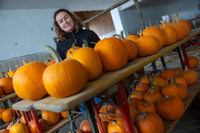 Kürbisschnitzen war gestern: Auf dem Martehof in Röthis wird an Halloween gemalt