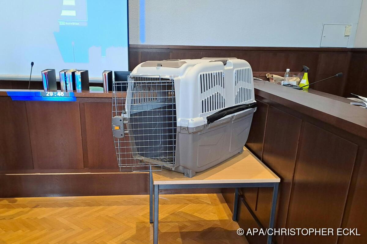 Zivilprozess in Hundebox-Fall wird im November fortgesetzt