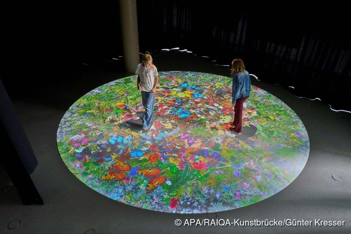 Ausstellung in Innsbruck zeigt Kunst als lebendes System