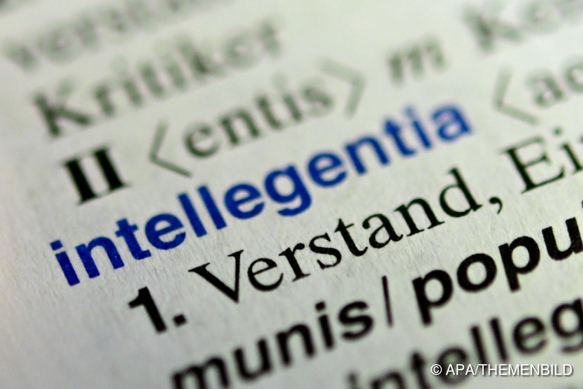 Eigene AHS-Sonderform für Hochbegabte geplant