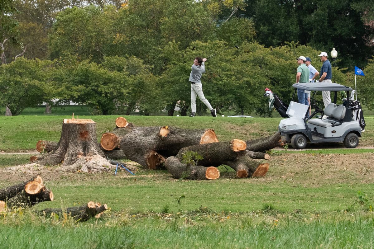 Von Trump angeordnete Baumfällungen auf Golfplatz gestoppt