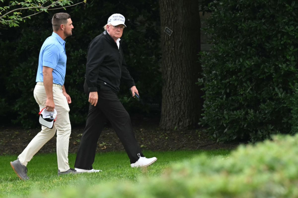 Trump-Pläne durchkreuzt: Stopp von Abholzungen auf Golfplatz