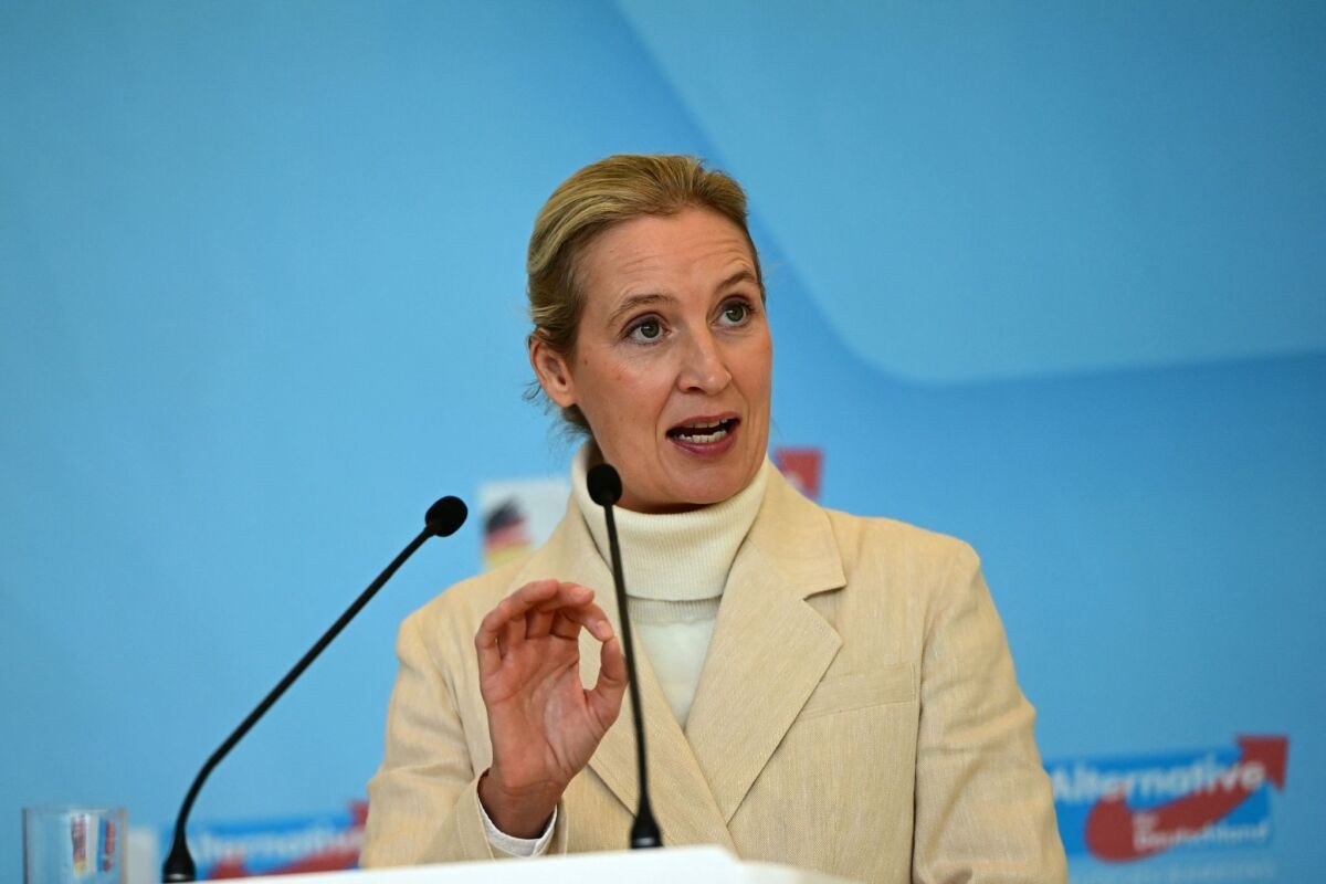 AfD-Weidel wünscht sich Kooperation mit FPÖ auf EU-Ebene