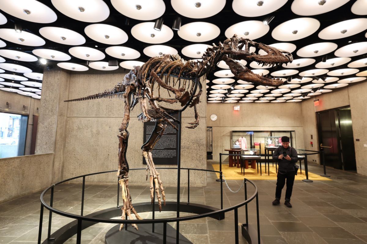 Dino-Skelett für rund 47 Millionen US-Dollar versteigert