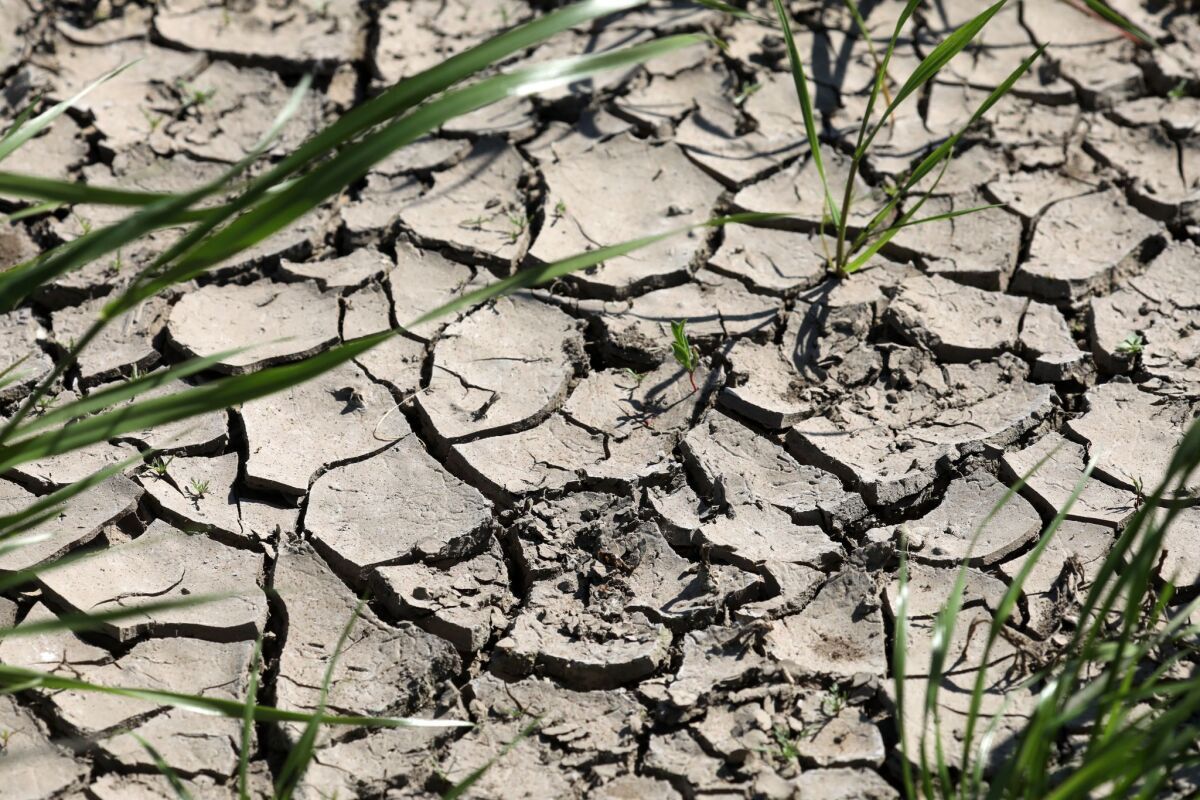 Folgen des Klimawandels nehmen laut Bericht deutlich zu